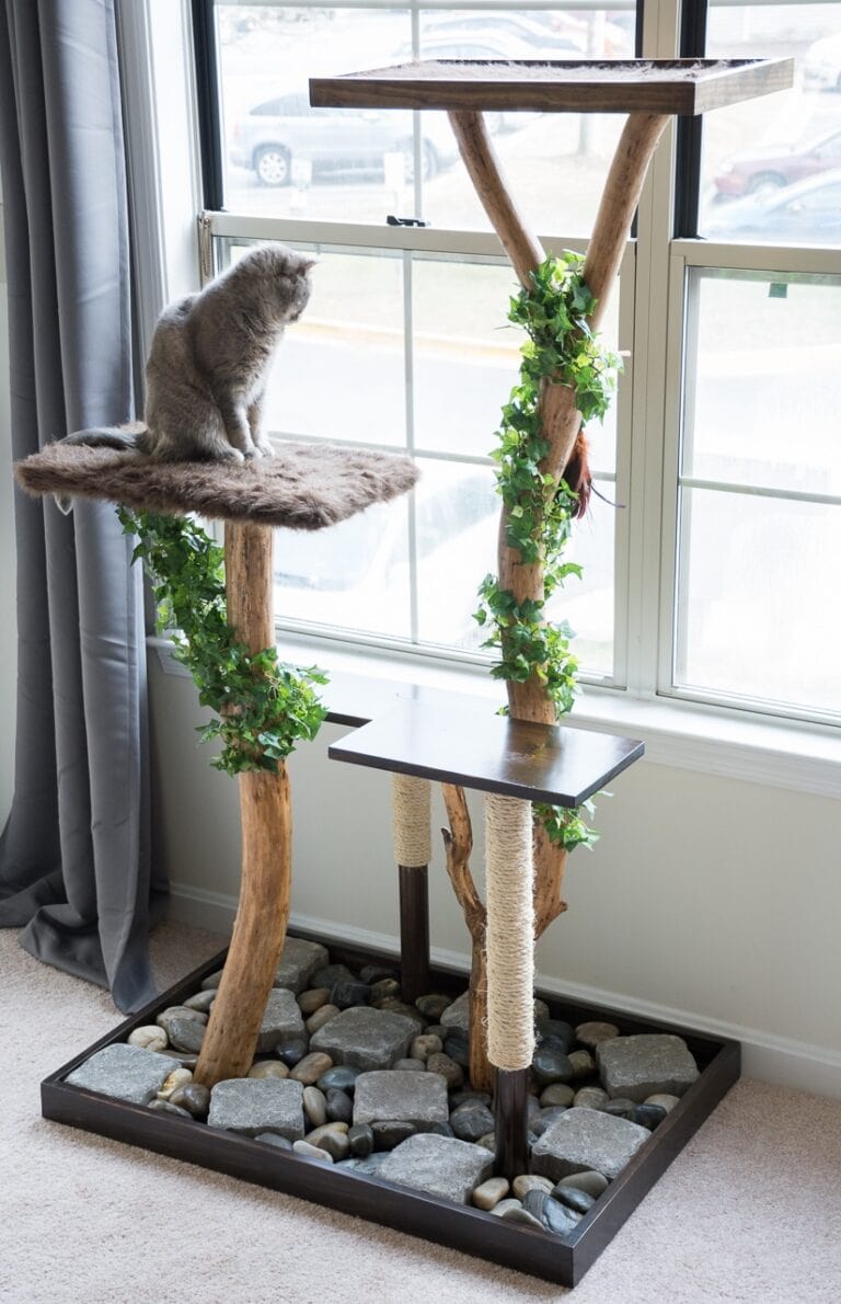 DIY cat tree made using real branches with a cat sitting on it