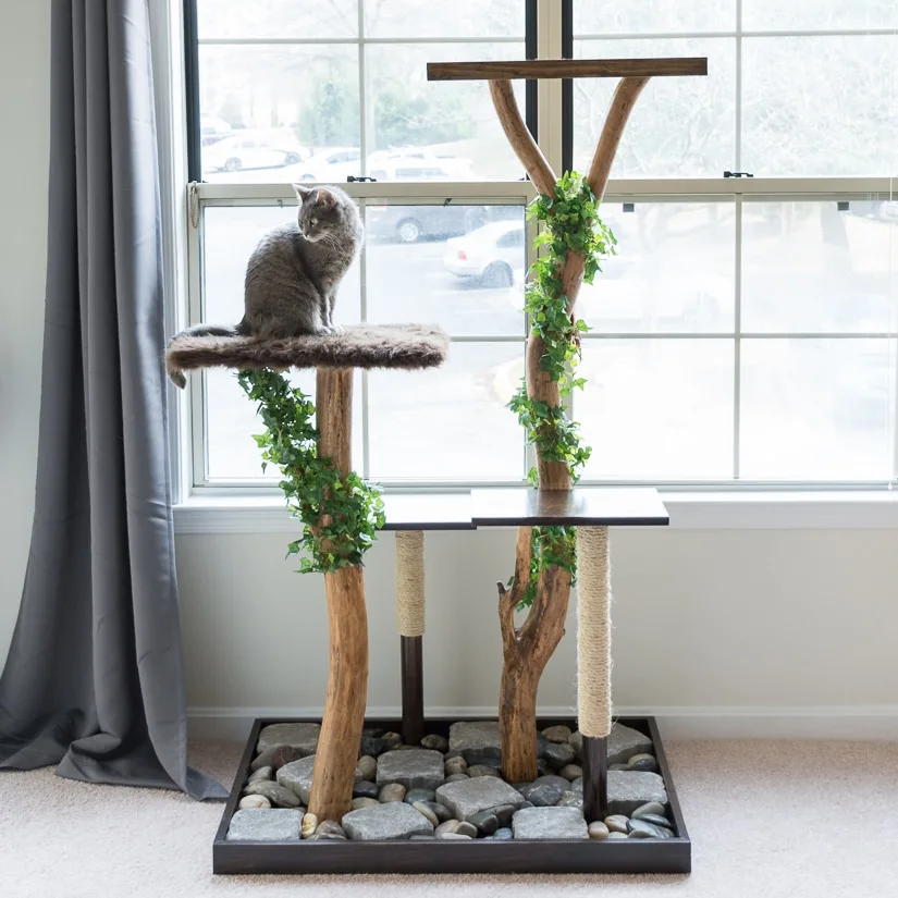 Diy cat scratcher best sale tree