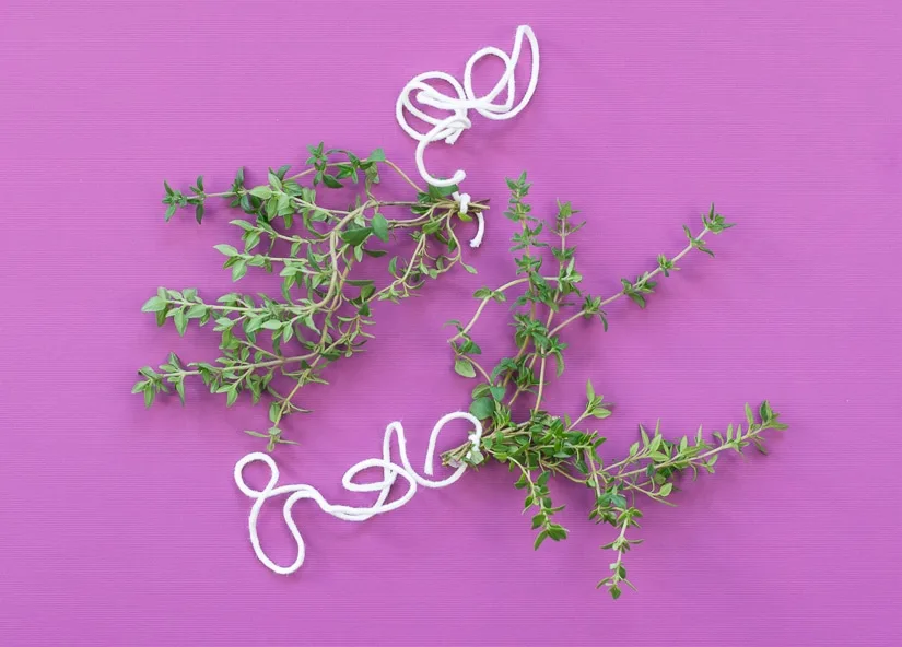 5 ways to preserve your summer herbs to enjoy them all year long