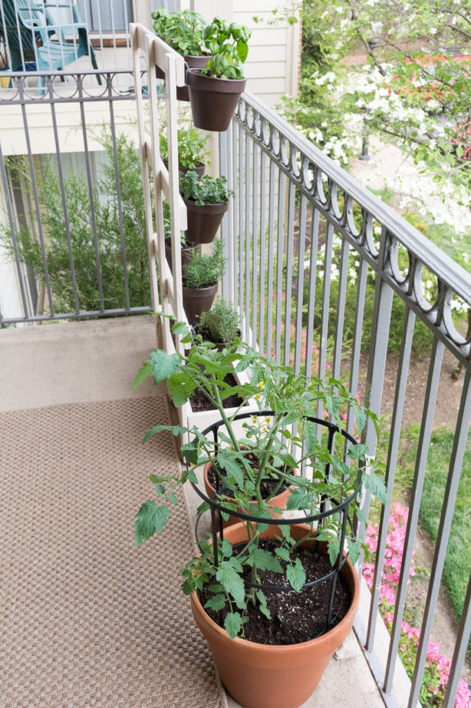 DIY Gardens for Small Spaces