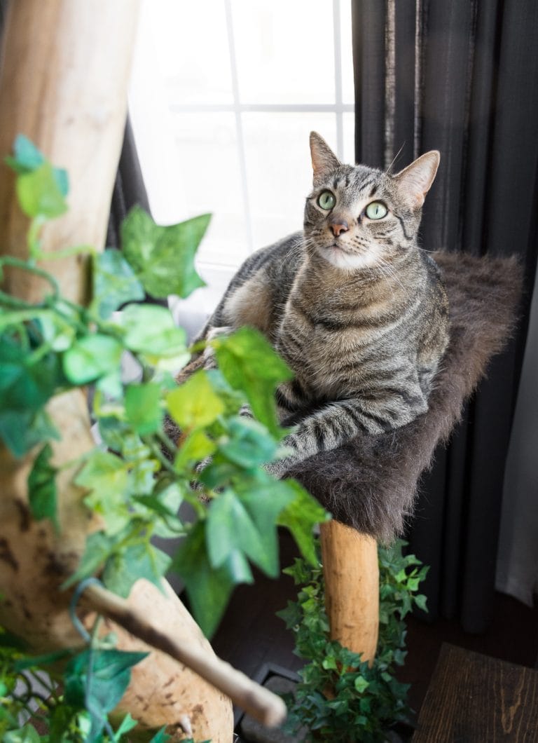 40 Cheap DIY Furniture Ideas That Actually Look Amazing