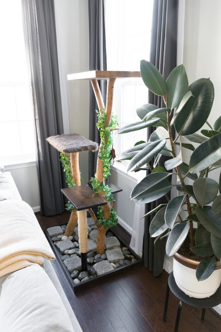 Cat Lovers! Learn How to Make a DIY Cat Tree Using Real Branches