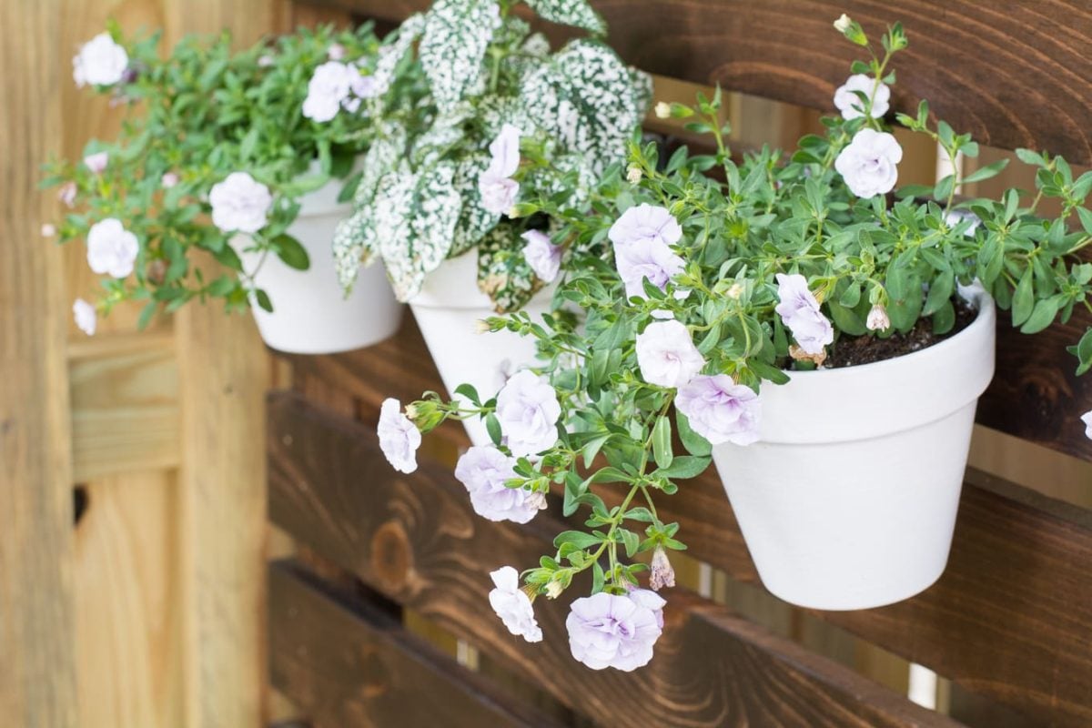 How to easily and securely hang flower pots on a fence or deck!