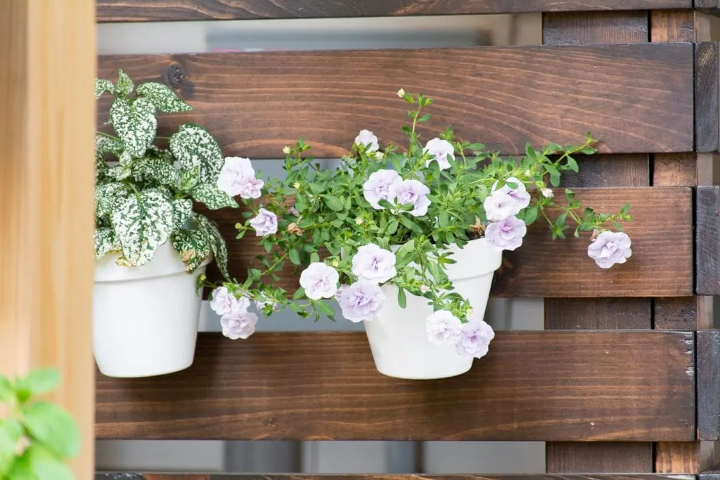 hanging terracotta pots on a deck post