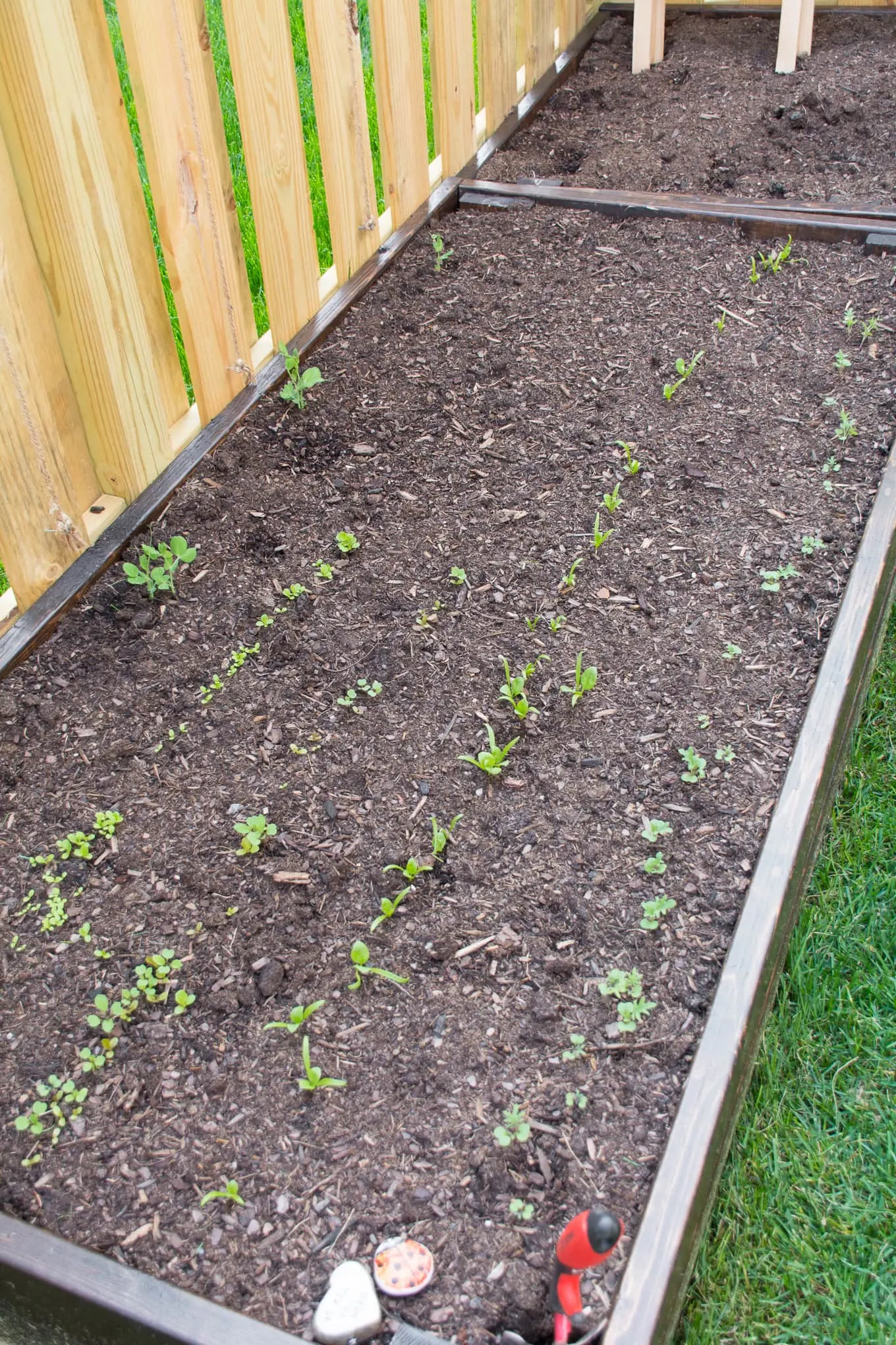 raised garden bed in a small townhouse backyard