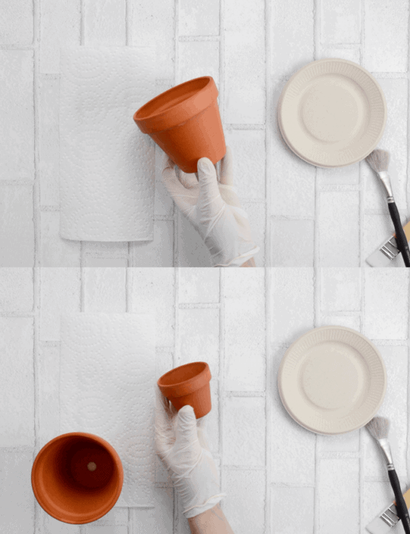 Waterproofing Clay Pots Using Thompson's Water Seal!