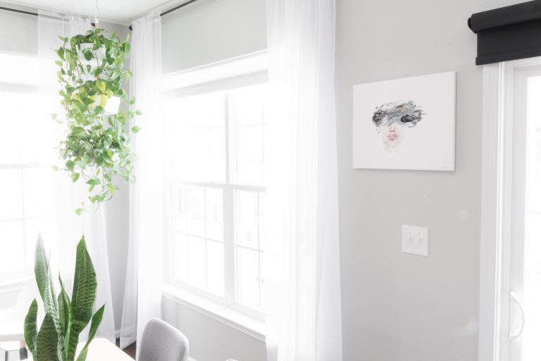 How to hang a planter from the ceiling the right way!