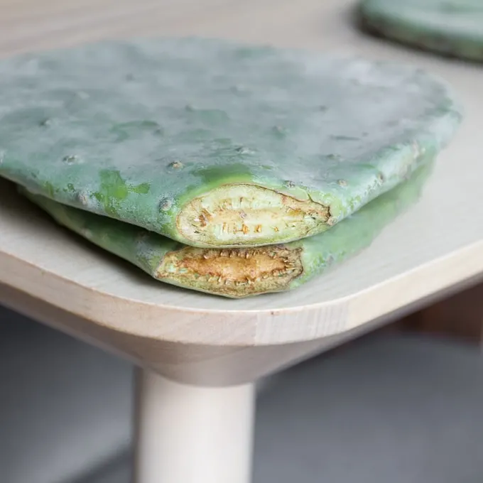 prickly pear cutting calloused over