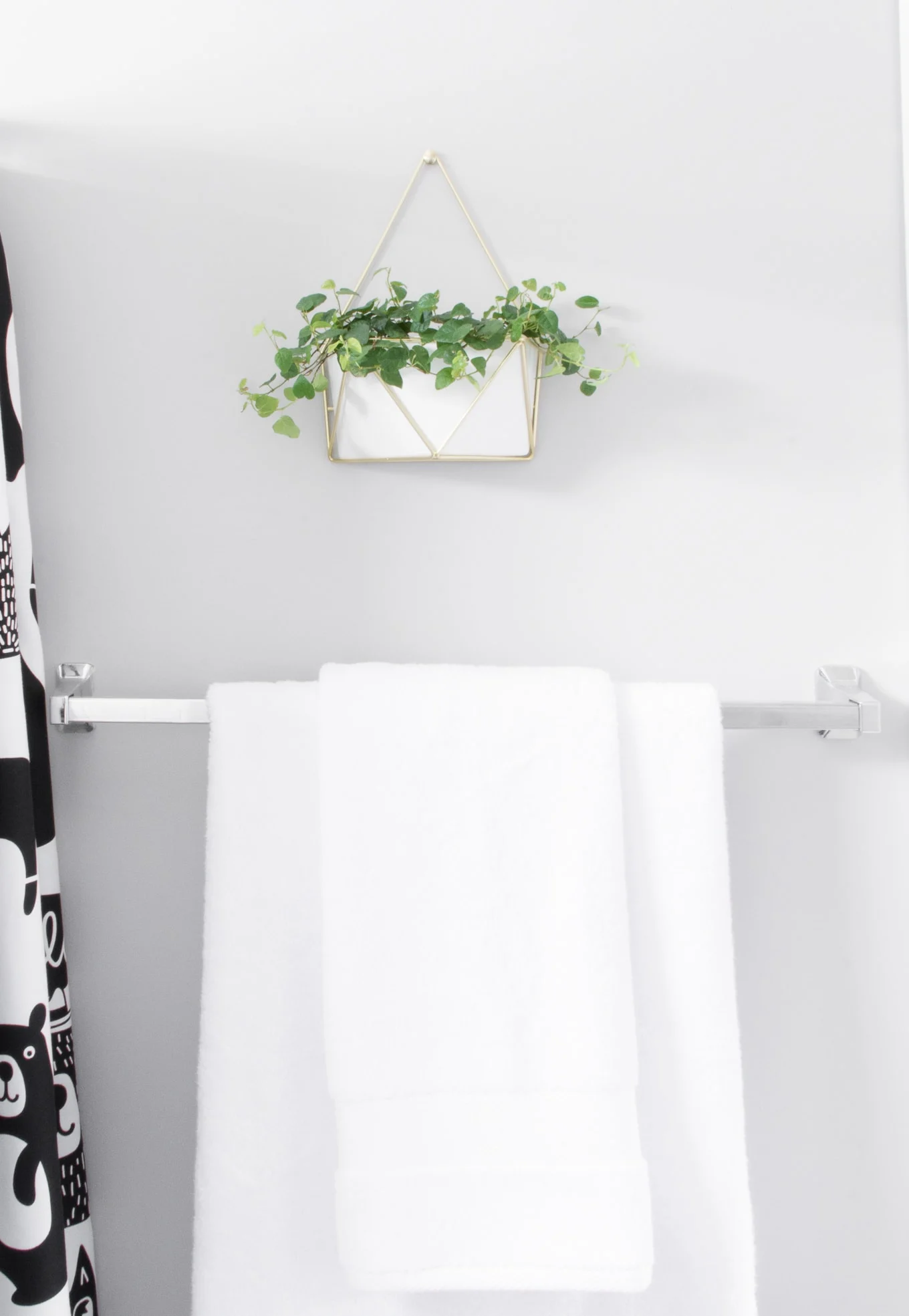 plant on a wall in a bathroom
