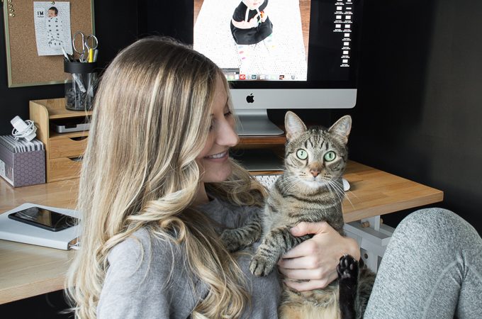 7 Tips to Keep Your Cat Happy and Healthy While Also Keeping Your House Nice