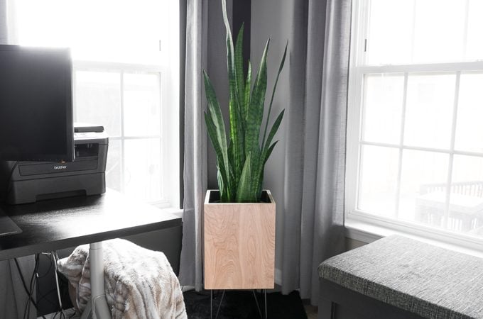 Modern DIY plywood planter with hairpin legs
