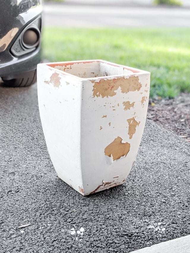 Waterproofing Clay Pots Using Thompson's Water Seal!