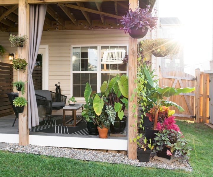 small townhouse backyard with flowers and plants