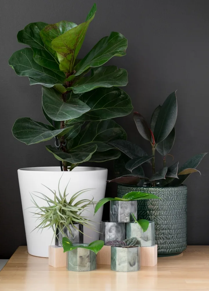 DIY Epoxy Resin Planters Using a Silicone Mold
