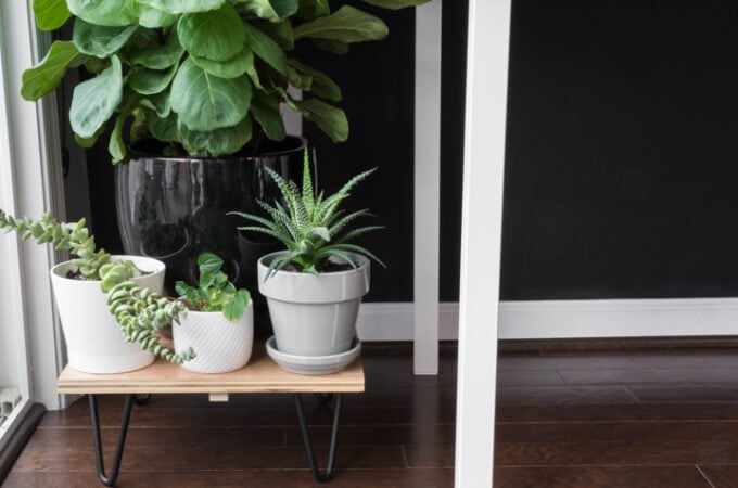 DIY Midcentury Plant Stand