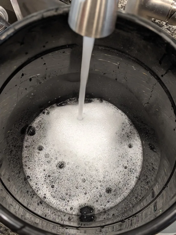 How to Debug Plants to Bring Indoors