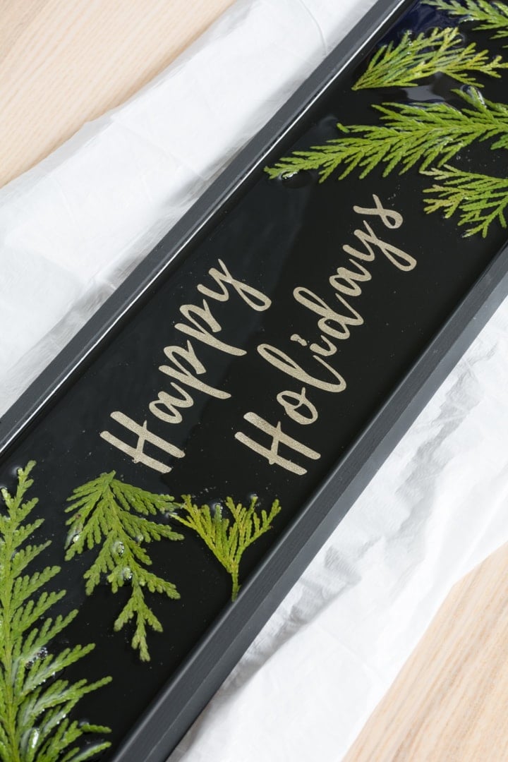 How to Preserve Evergreen Leaves in Resin to Make Art