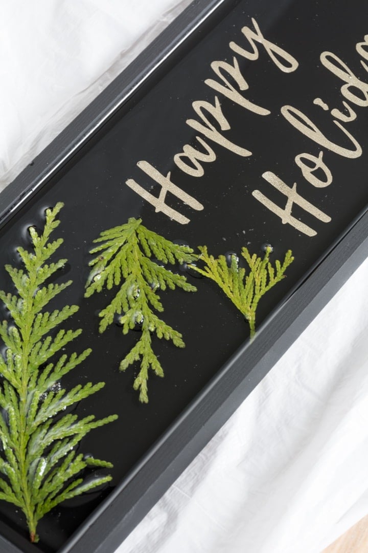 How to Preserve Evergreen Leaves in Resin to Make Art