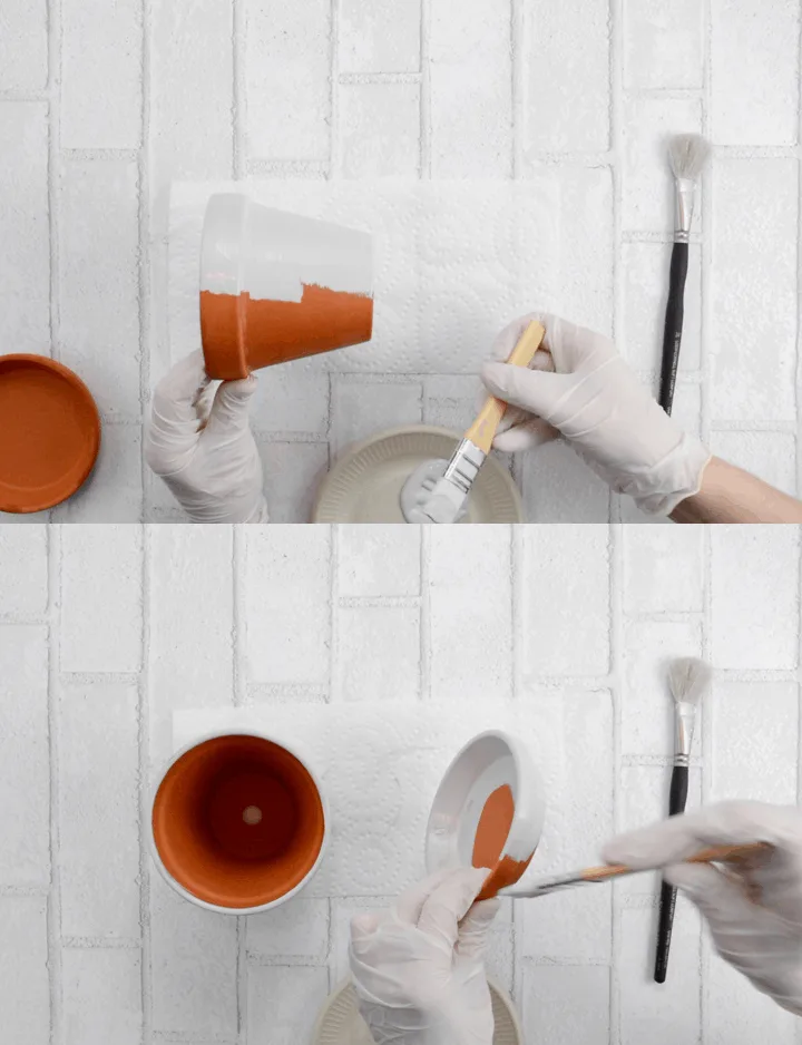 How to Paint Terracotta Pots & the Best Paint for Terracotta Pots