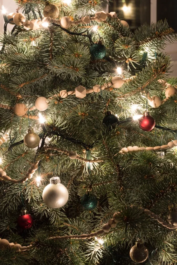 decorated live christmas tree