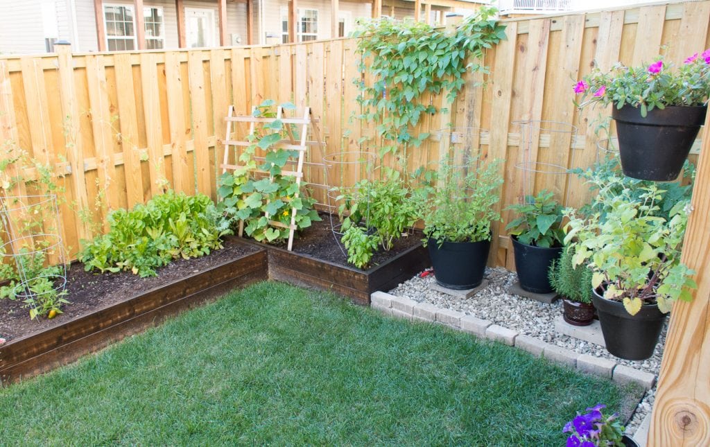 DIY Gardens for Small Spaces