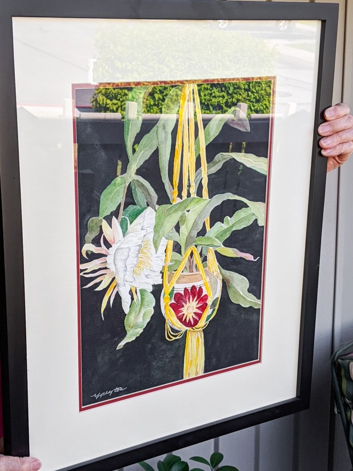 painting of Epiphyllum Oxypetalum flowering