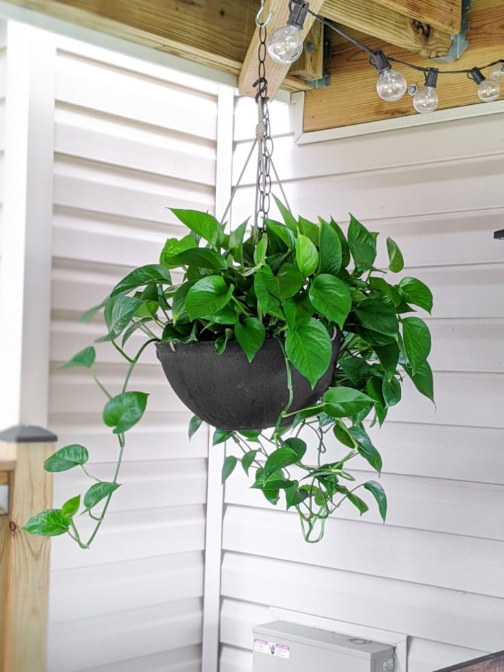 7 Stunning Amazon Hanging Planters That Are Actually Affordable
