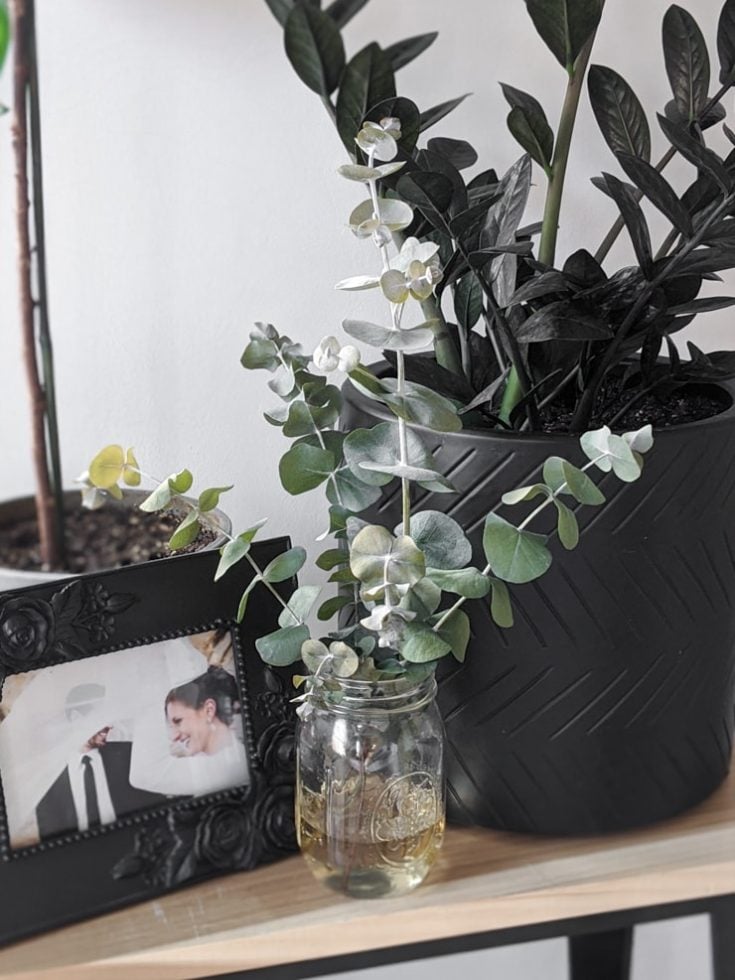 How to Dry Eucalyptus 2 Easy Ways to Preserve Eucalyptus for Crafts