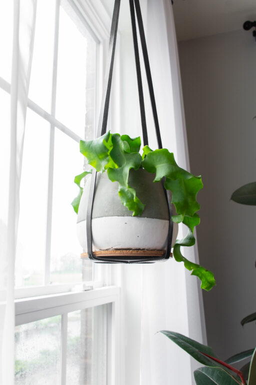 Drill Drainage Holes in a Concrete Pot Everything You Need to Know