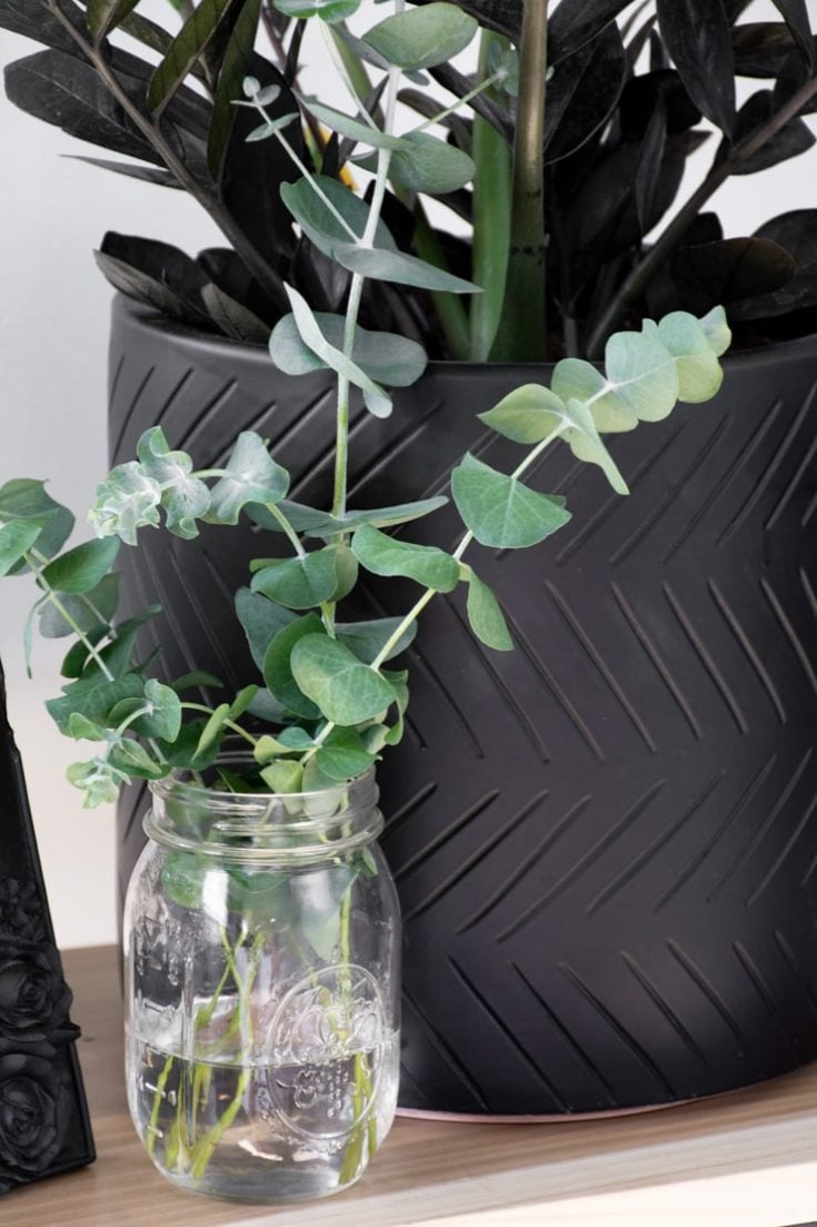 Learn how to dry or preserve eucalyptus branches!