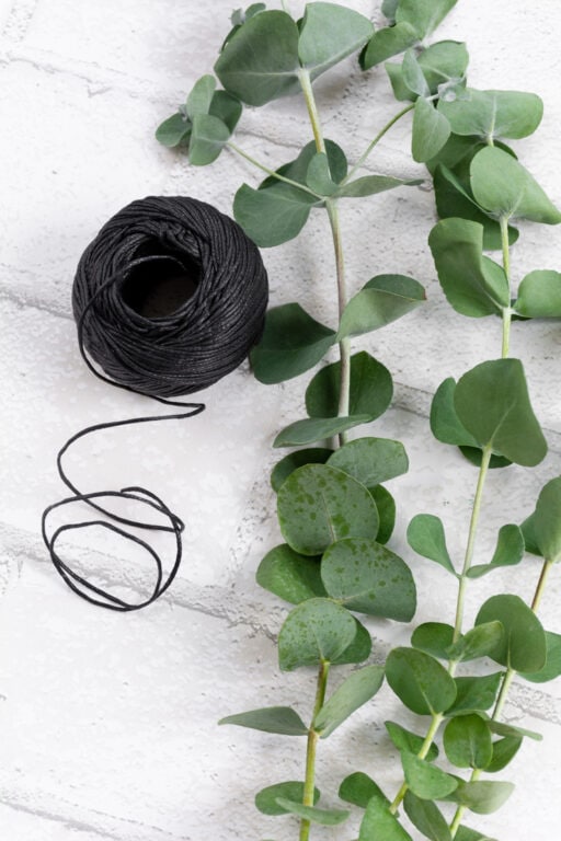 How to Dry Eucalyptus 2 Easy Ways to Preserve Eucalyptus for Crafts