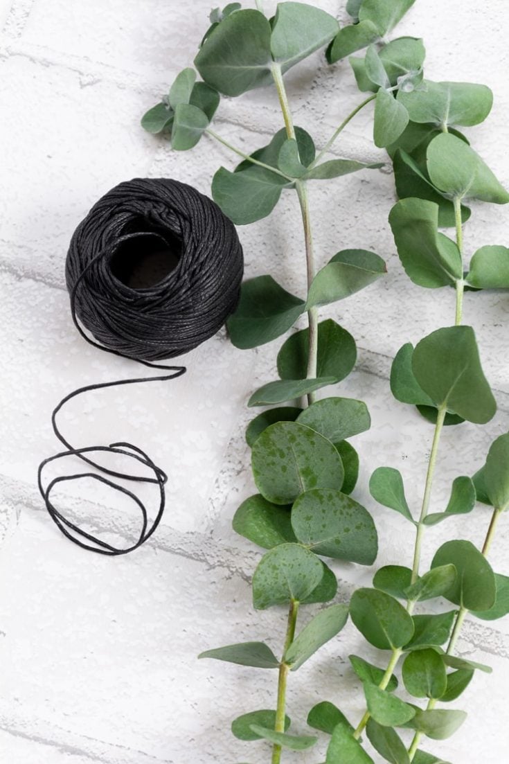 How to Dry Eucalyptus 2 Easy Ways to Preserve Eucalyptus for Crafts