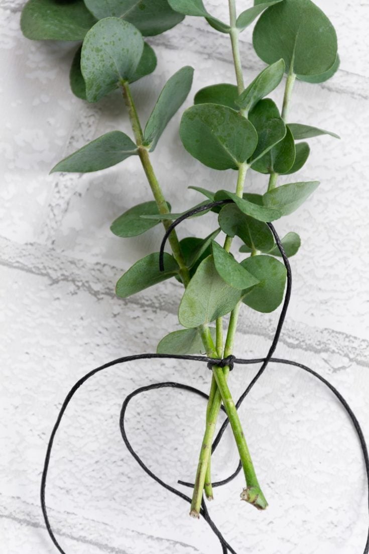 How to Dry Eucalyptus 2 Easy Ways to Preserve Eucalyptus for Crafts