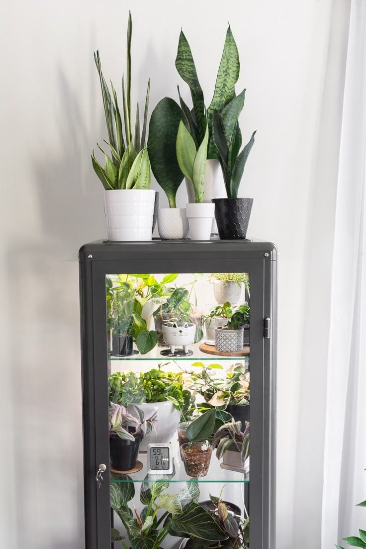 How to convert an Ikea glass into a little greenhouse!