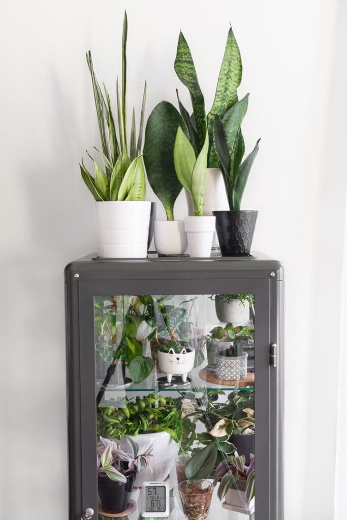 Fabrikor Ikea Greenhouse