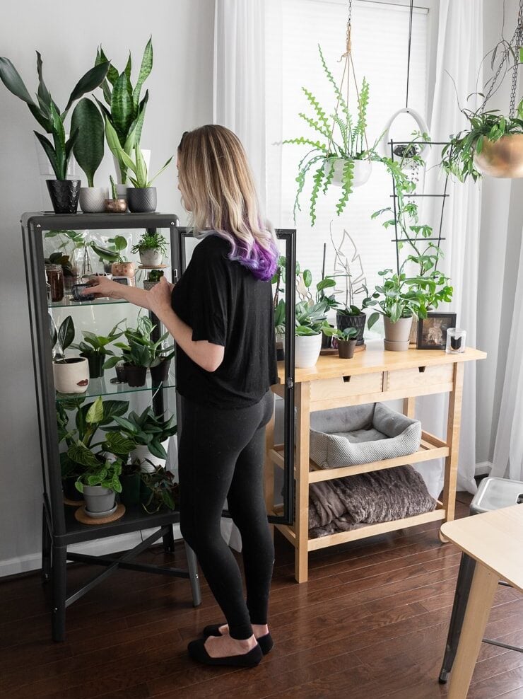 Ikea greenhouse cabinet with strip grow lights