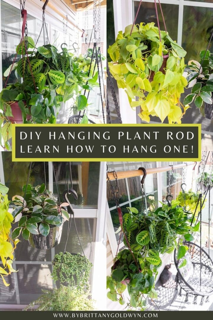 How to set up a DIY hanging plant rod to hang lots of plants