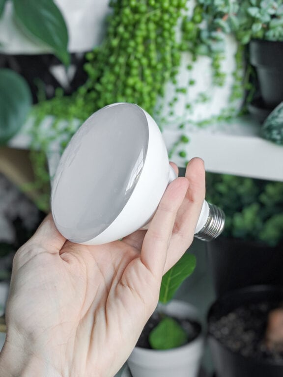 How to use grow lights for houseplants to help them thrive!