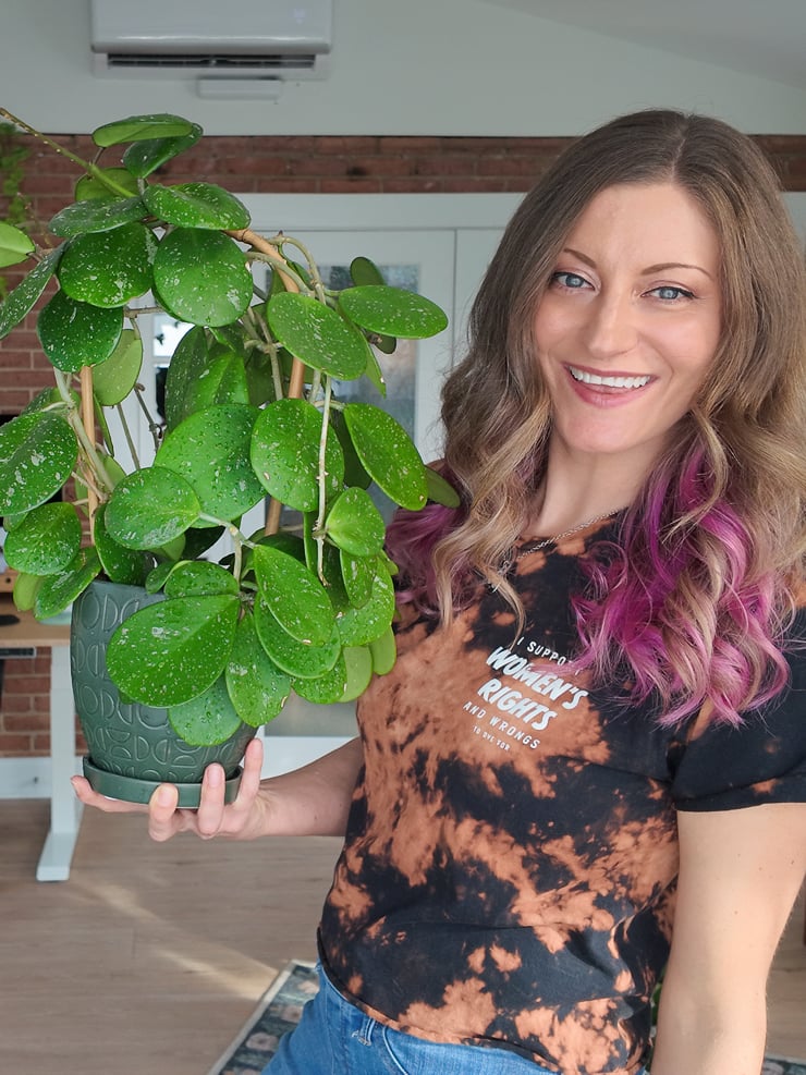 brittany with an obovata
