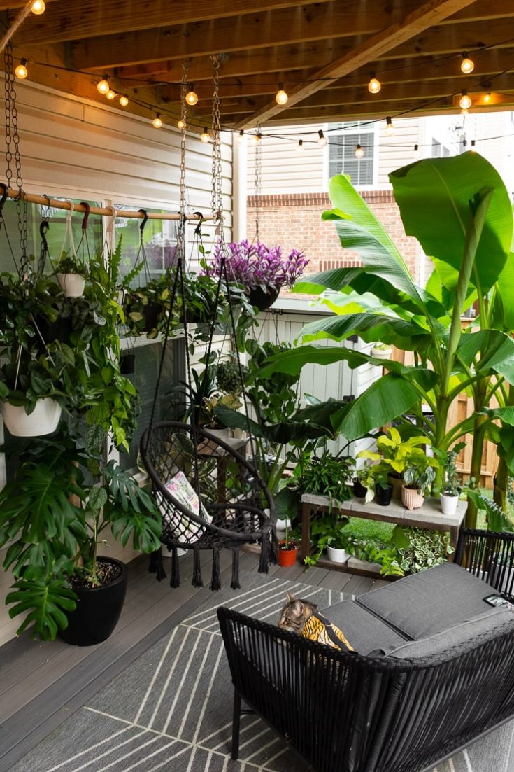 My deck decorating ideas with plants, see my tiny yard this summer!