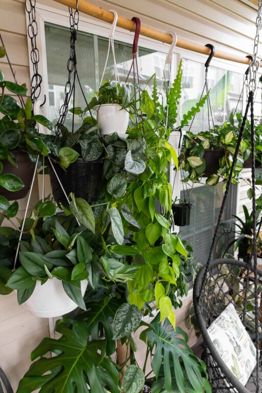 My deck decorating ideas with plants, see my tiny yard this summer!