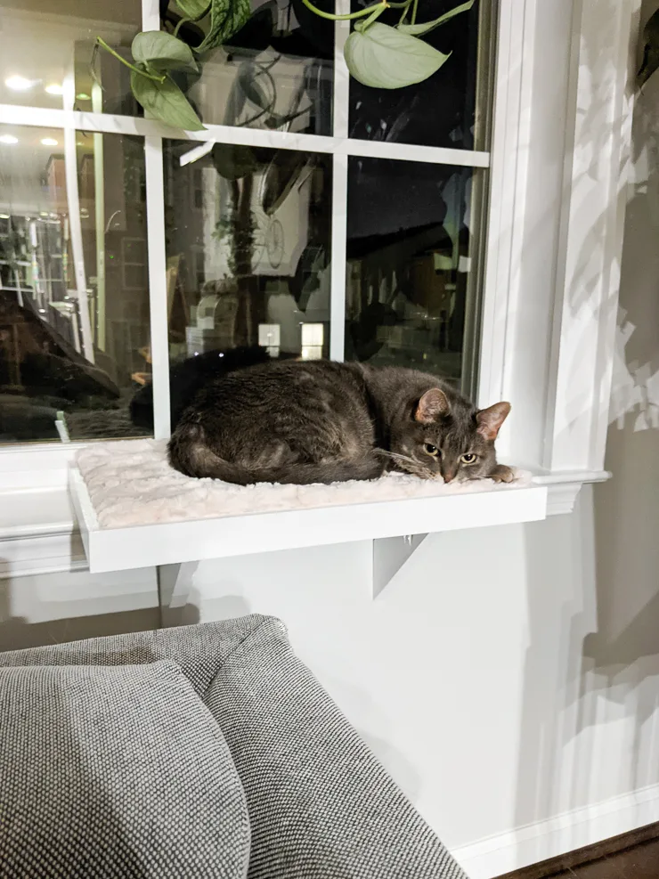 Cat windowsill on sale perch diy
