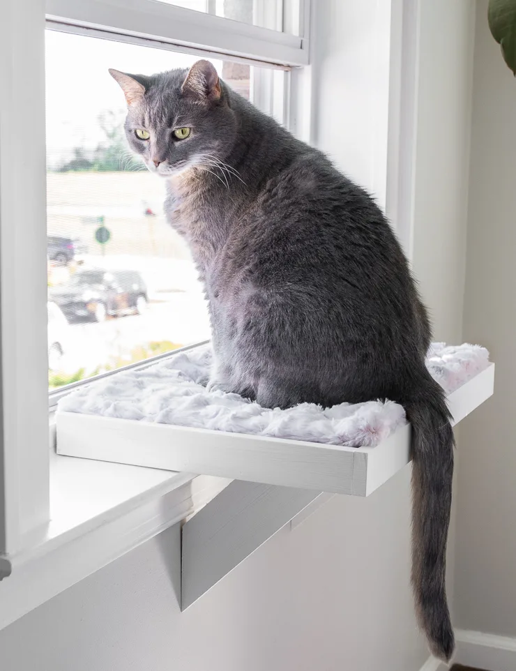 DIY Cat Window Perch