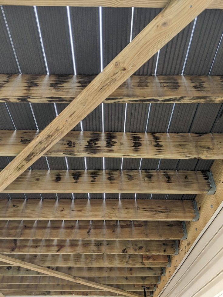 Vinyl vs. wood fences & this homeowner’s decisionmaking process!