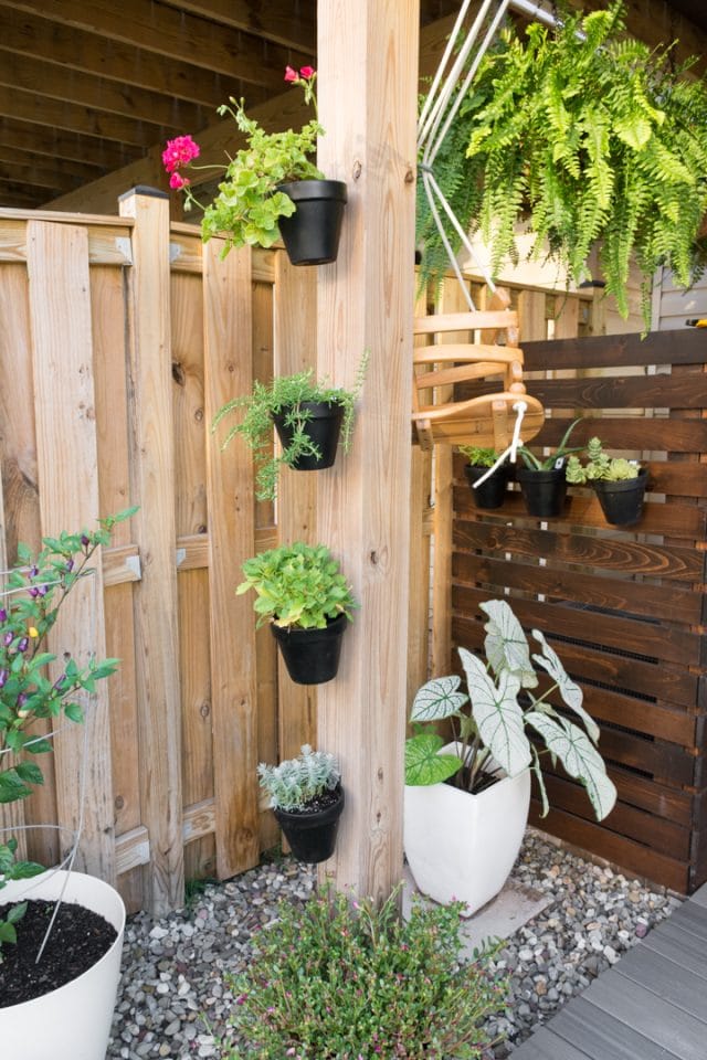 Vinyl vs. wood fences & this homeowner’s decisionmaking process!