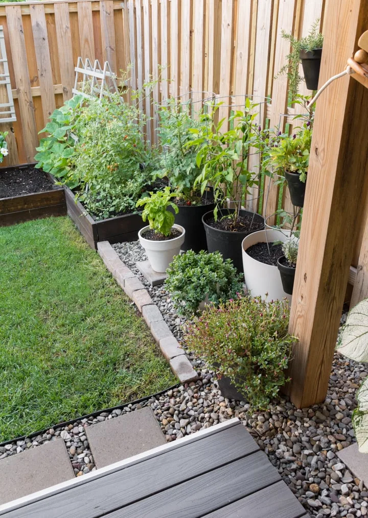 small garden in a backyard