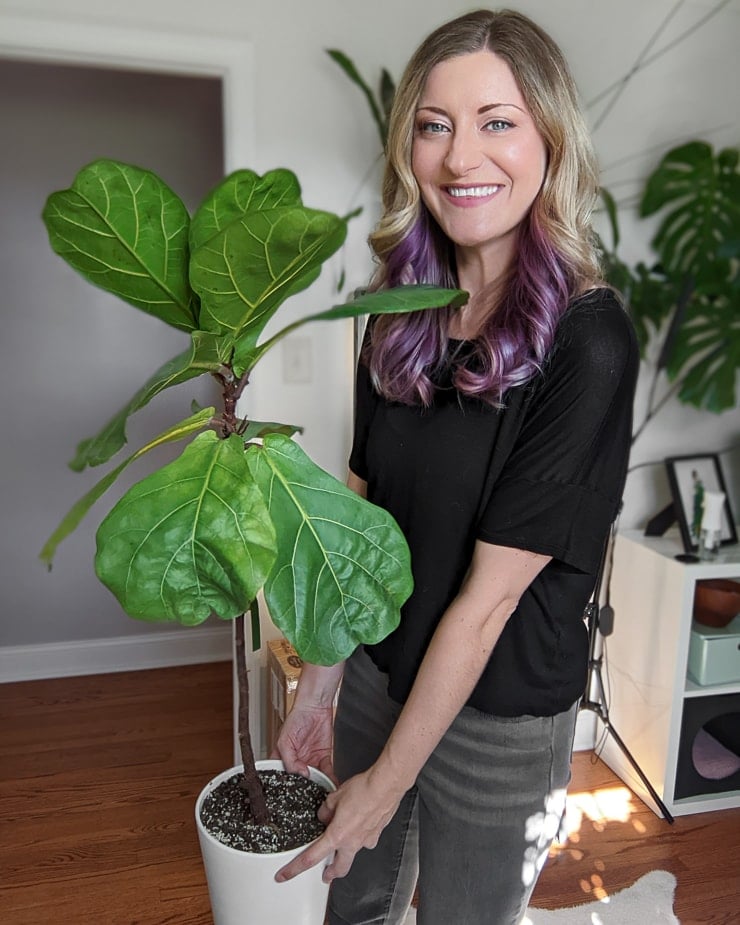 woman holding a fiddle leaf fig