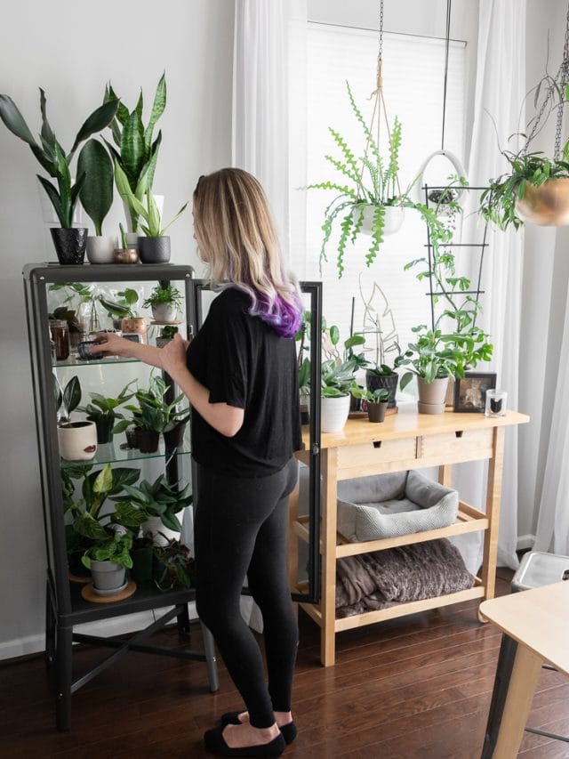 GreenhousePin By Brittany Goldwyn Live Creatively