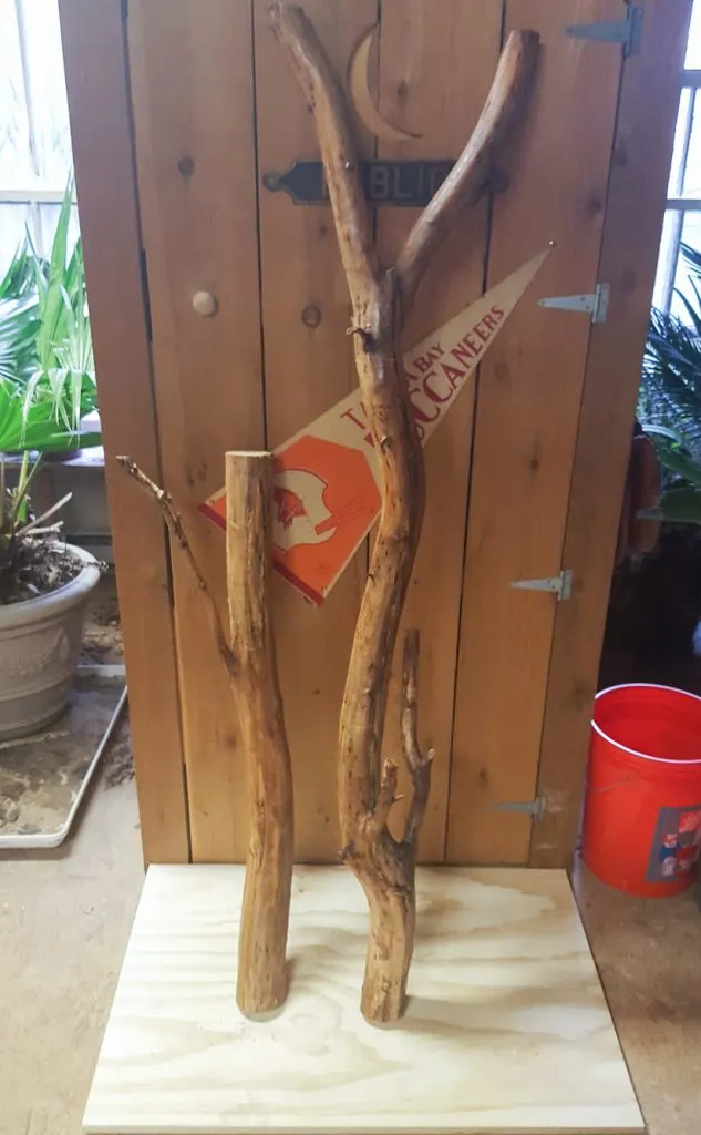 polycrylic drying on the branches