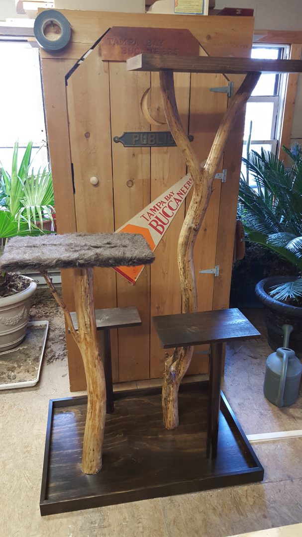 DIYCatTreeMadeFromBranches30 By Brittany Goldwyn Live Creatively